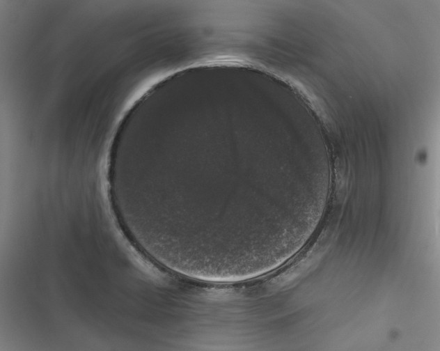 X0000116761422201001141420