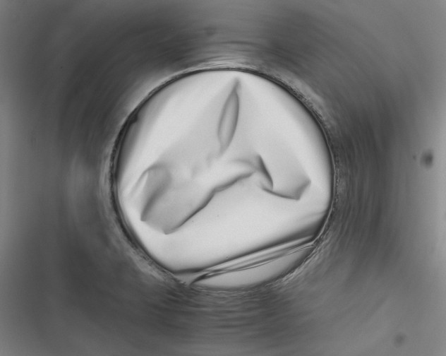 X0000116761423201001141420