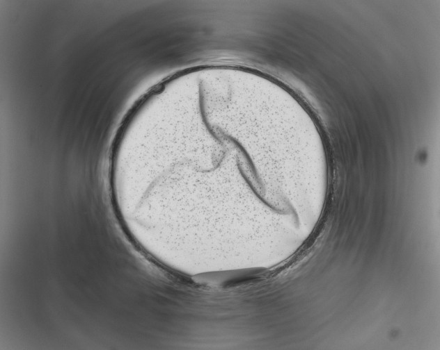 X0000116761424201001141420