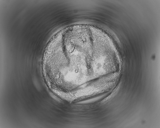 X0000116761425201001141420