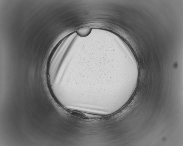 X0000116761426201001141420