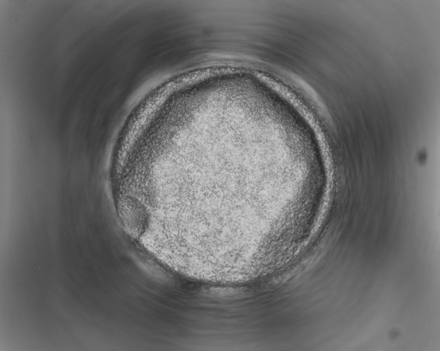 X0000116761427201001141420