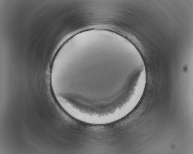 X0000116761428201001141420