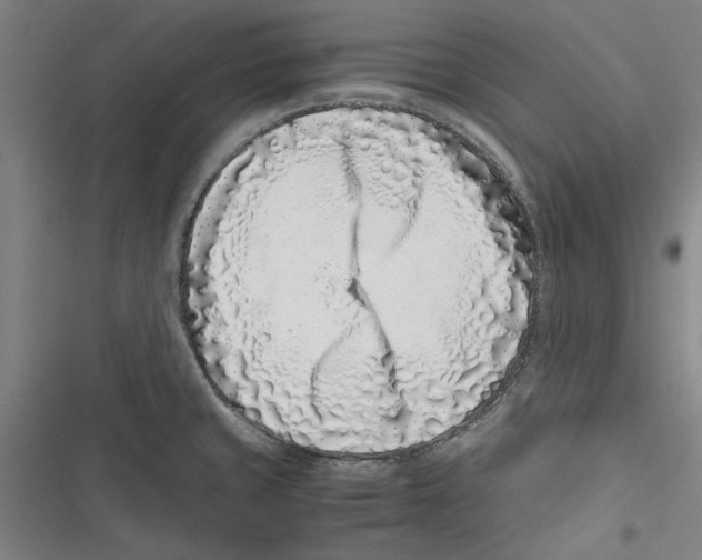 X0000116761429201001141420