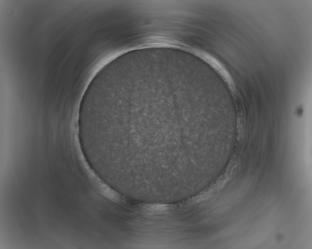 X0000116761431201001141420