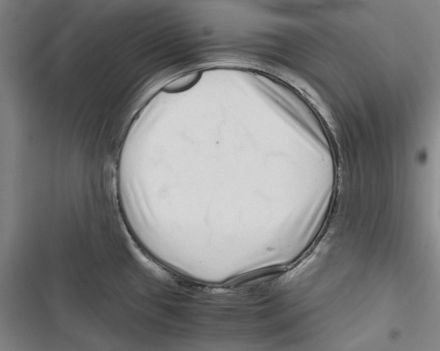 X0000116761433201001141420