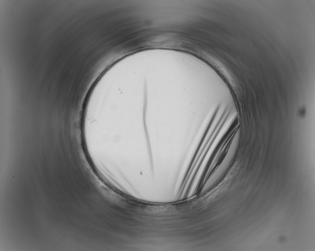 X0000116761434201001141420