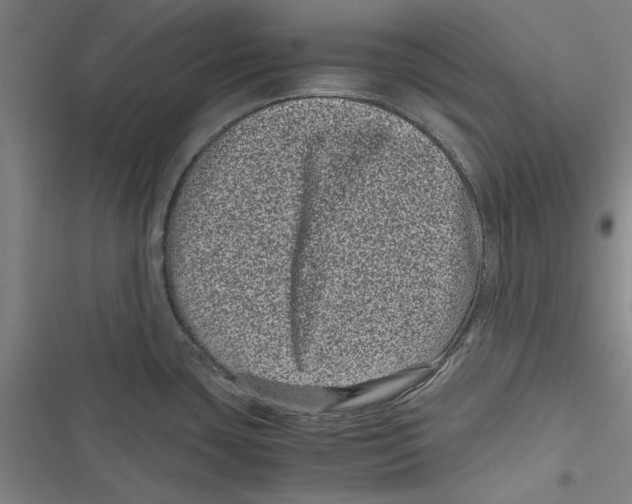 X0000116761435201001141420