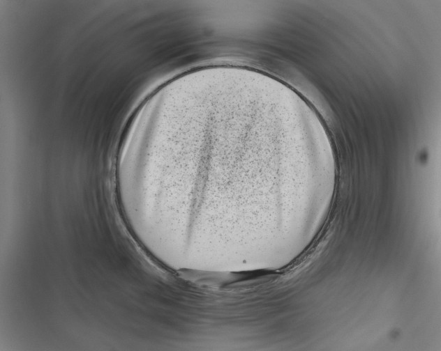 X0000116761436201001141420