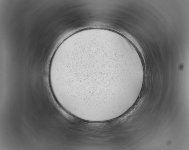 X0000116761437201001141420