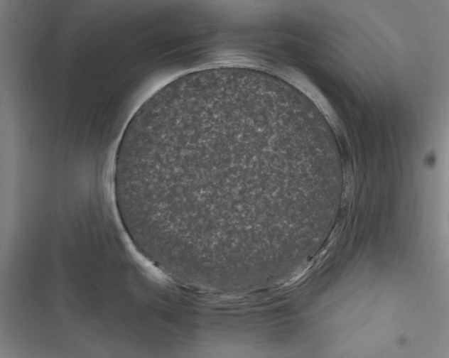 X0000116761439201001141420