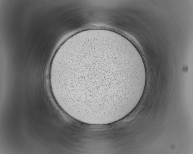 X0000116761440201001141420