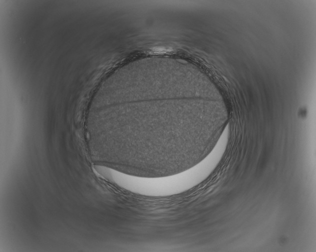 X0000116761441201001141419