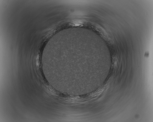 X0000116761442201001141419