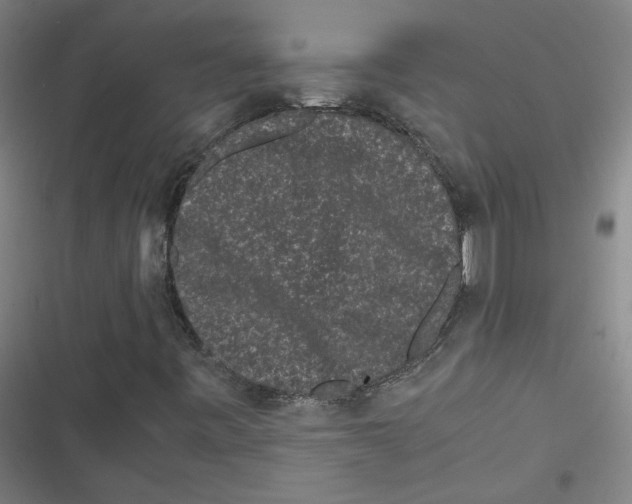 X0000116761443201001141419