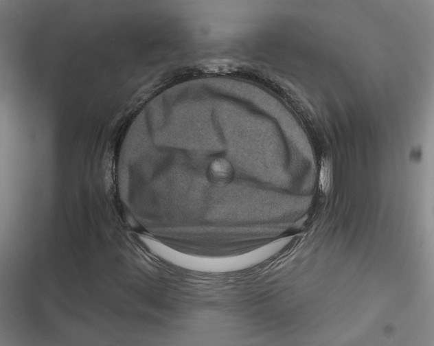 X0000116761444201001141419