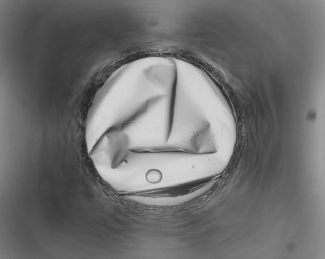 X0000116761447201001141419