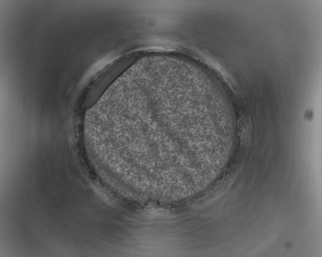 X0000116761448201001141419