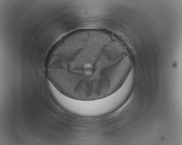 X0000116761449201001141419