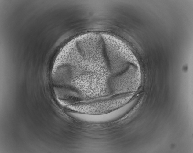 X0000116761450201001141419