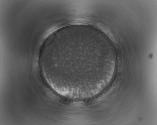 X0000116761453201001141419