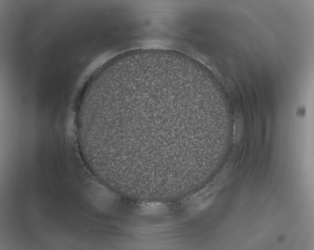 X0000116761454201001141419