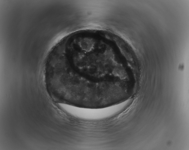 X0000116761455201001141419