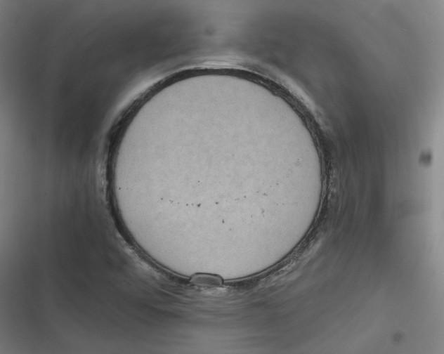 X0000116761456201001141419