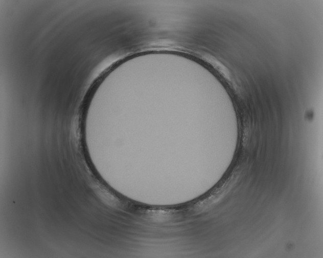 X0000116761458201001141419