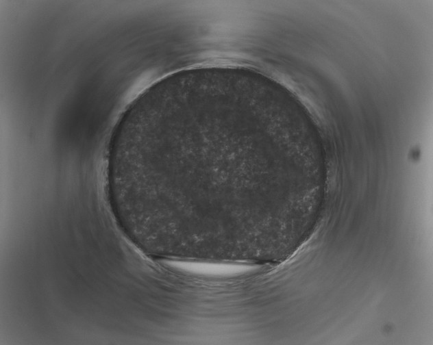 X0000116761459201001141419