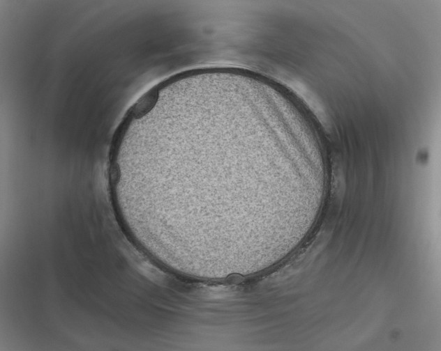 X0000116761460201001141419