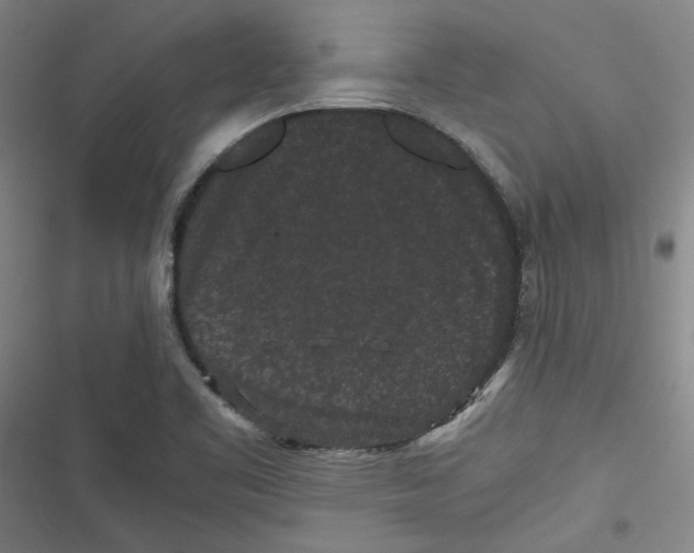 X0000116761461201001141419