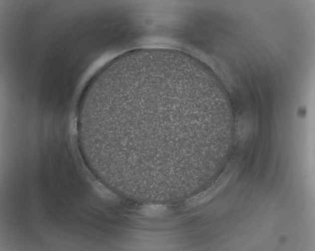 X0000116761462201001141419