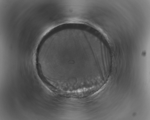 X0000116761463201001141419