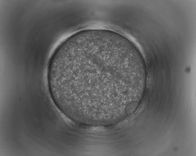 X0000116761464201001141419