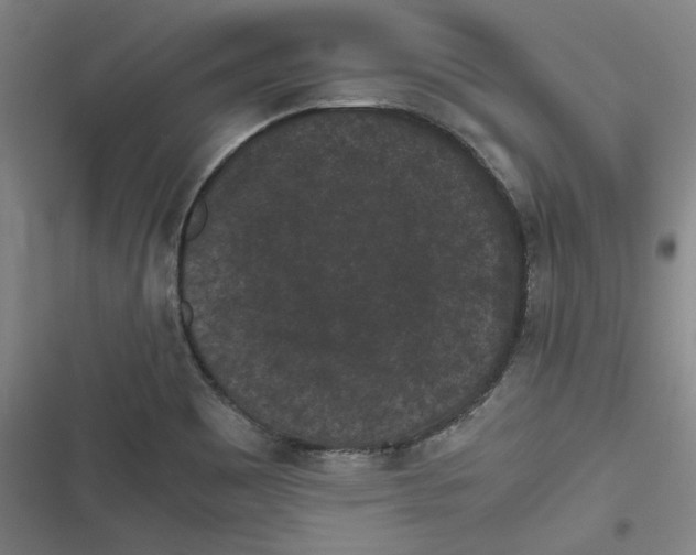 X0000116761465201001141419