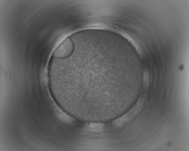 X0000116761466201001141419