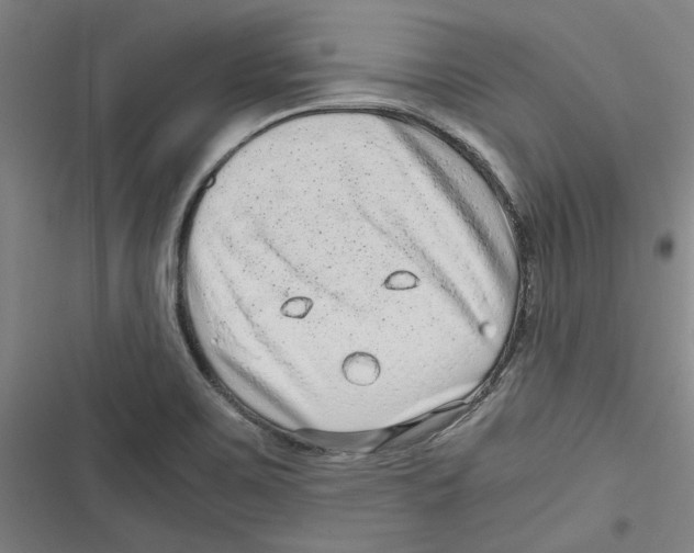 X0000116761467201001141419