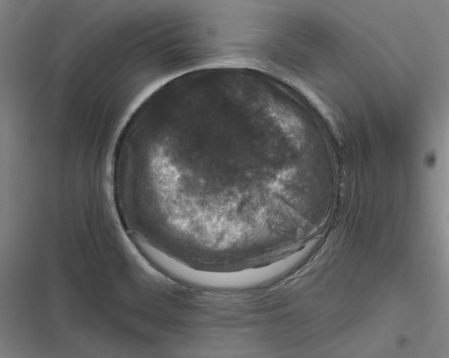 X0000116761468201001141419