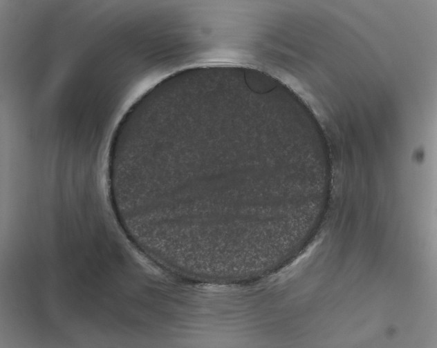 X0000116761469201001141419