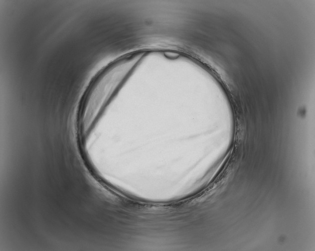 X0000116761471201001141419