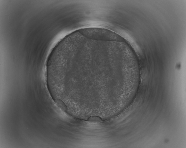 X0000116761472201001141419