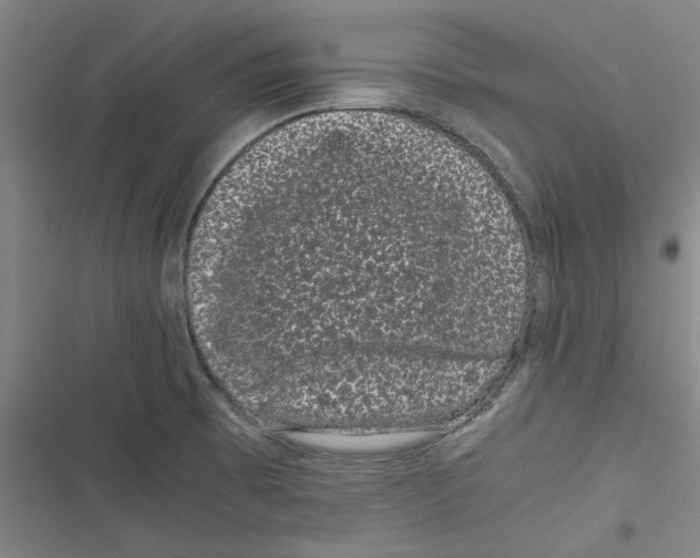 X0000116761473201001141419