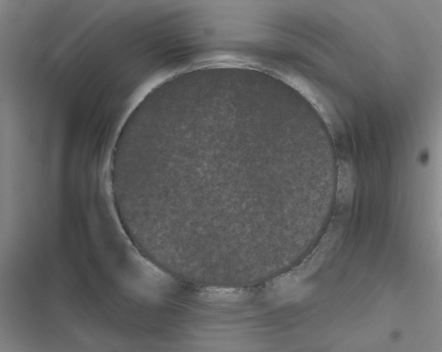 X0000116761474201001141419