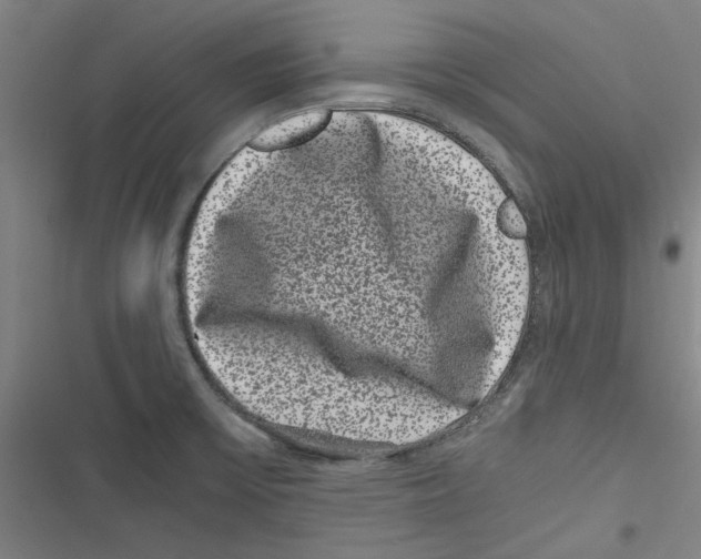 X0000116761475201001141419