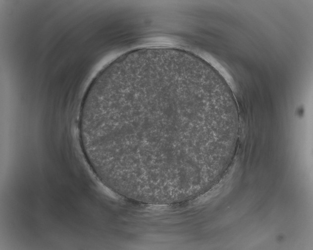 X0000116761477201001141419