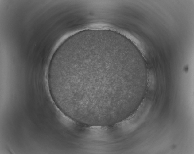 X0000116761478201001141419