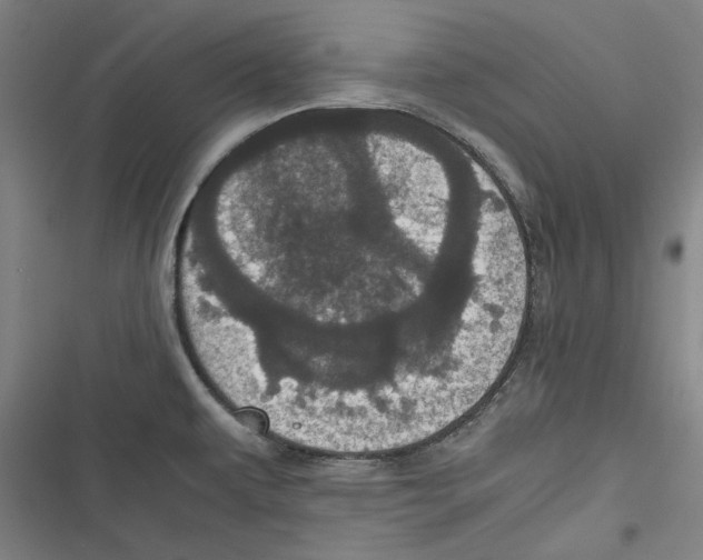 X0000116761479201001141419