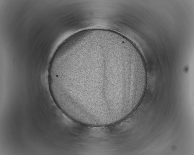 X0000116761480201001141419