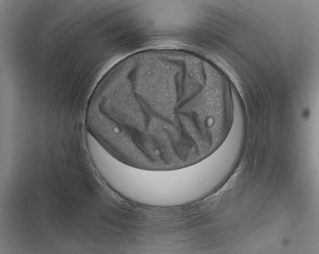 X0000116761481201001141419